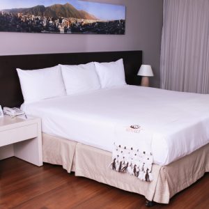 Suite Junior
