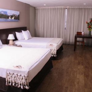 Suite Junior Doble